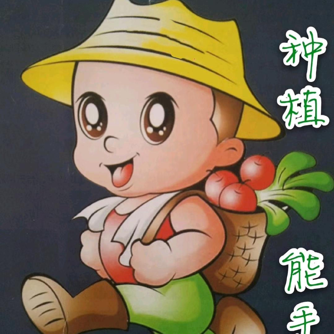 禾田丰农业