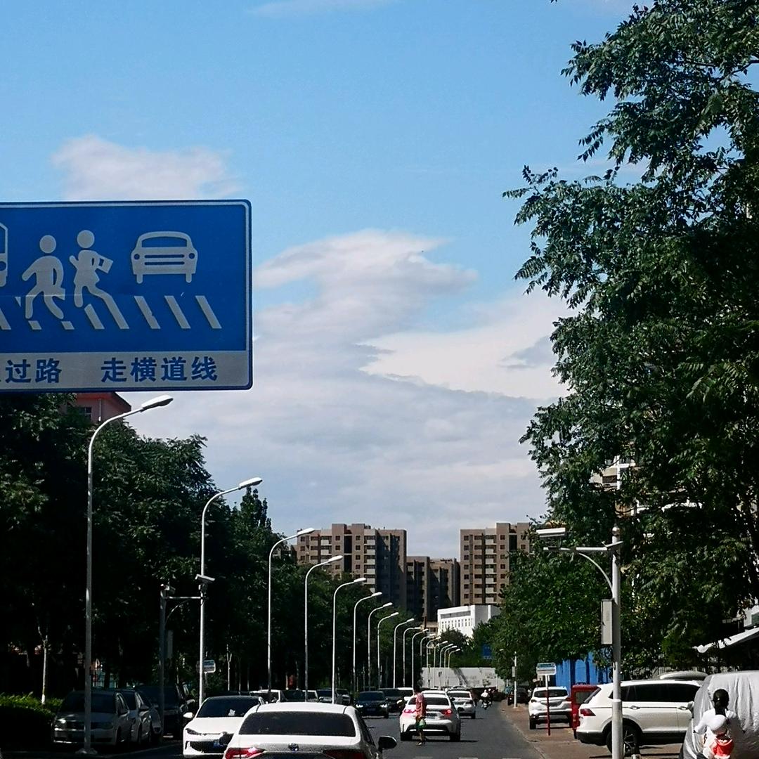 一本正经的胡说（教学收徒）