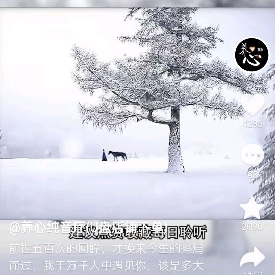 人非圣贤