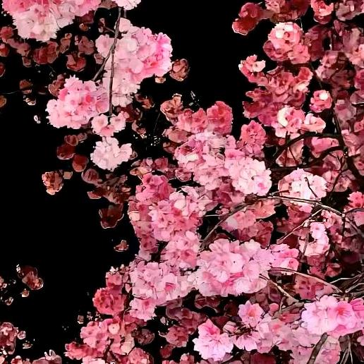 沈阳乐鑫诚优品小铺