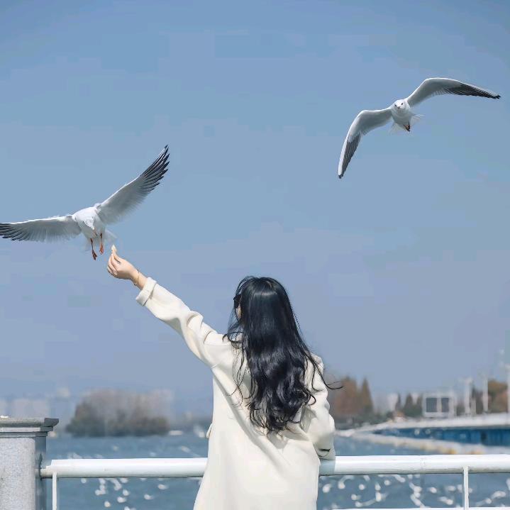 柒朵旅拍摄影〔明玉〕