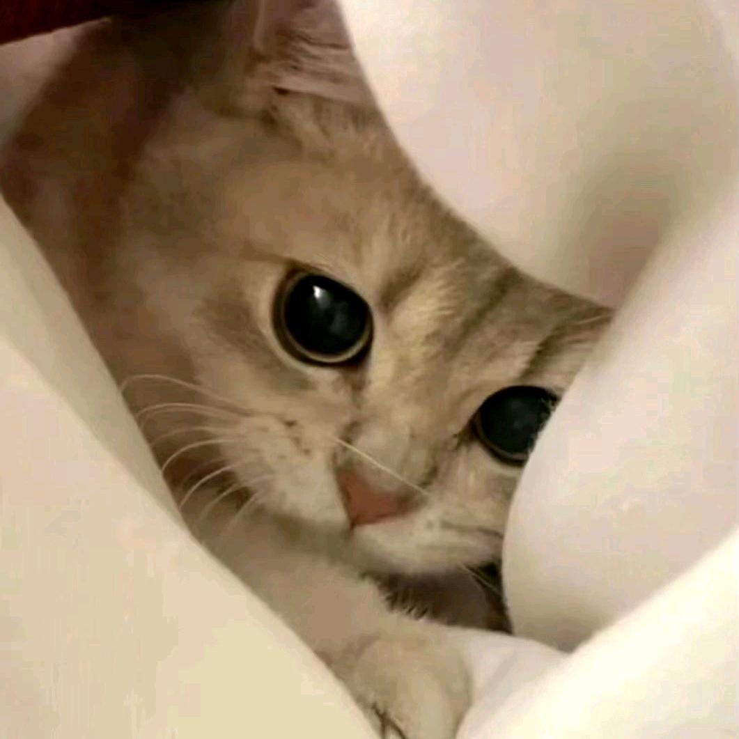 忘赐了