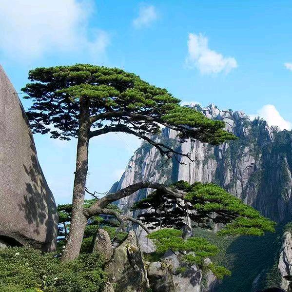 顺风顺水
