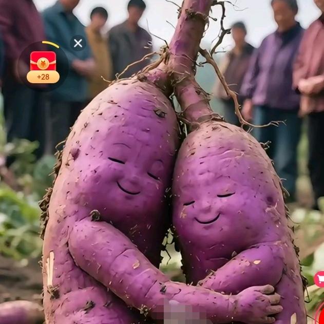 看视界