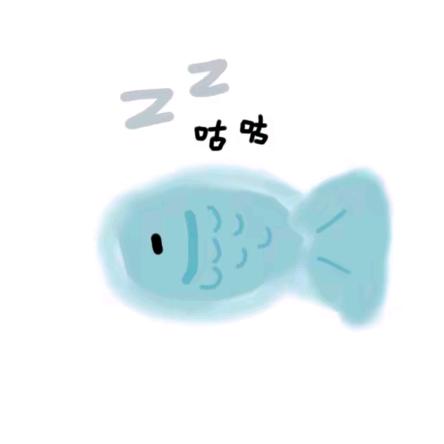 鱼柳o
