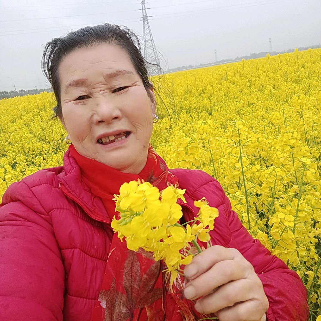 梅桂