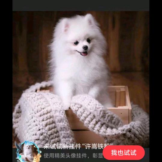宋三哥