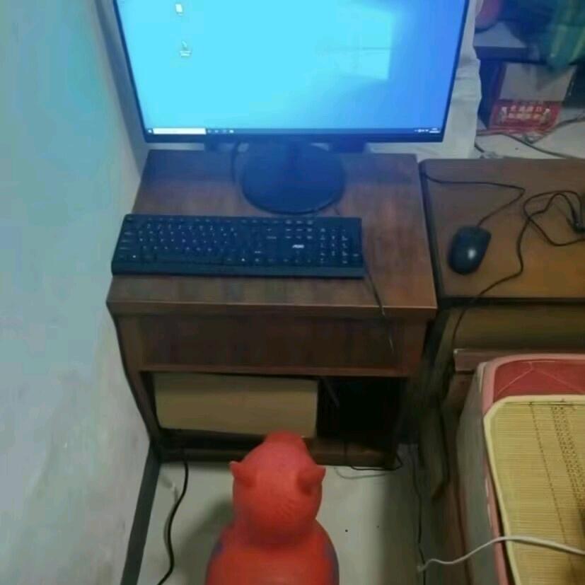 毒蛇丶黑曼巴