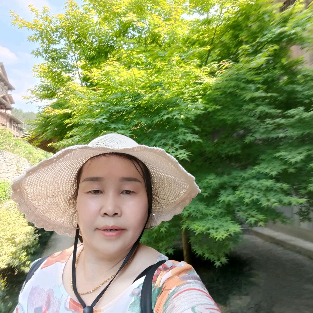 黑玫瑰建别墅