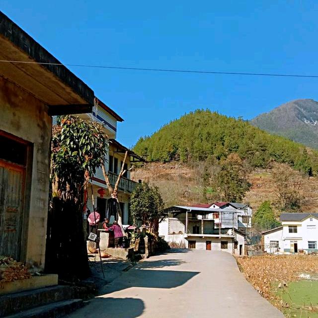 lala 好物