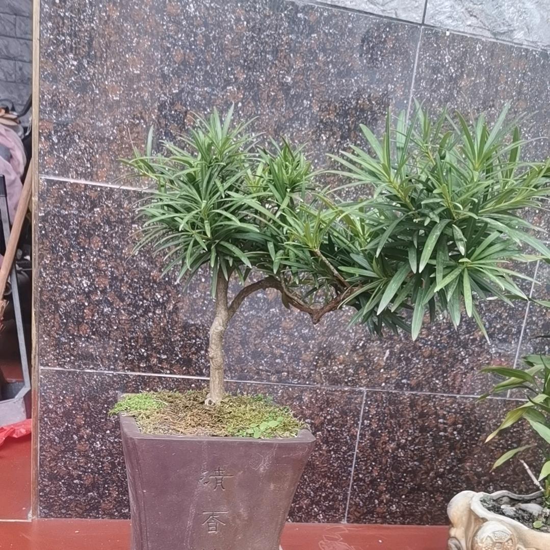 永州市冷水滩区协宝坝百货店（个体工商户）