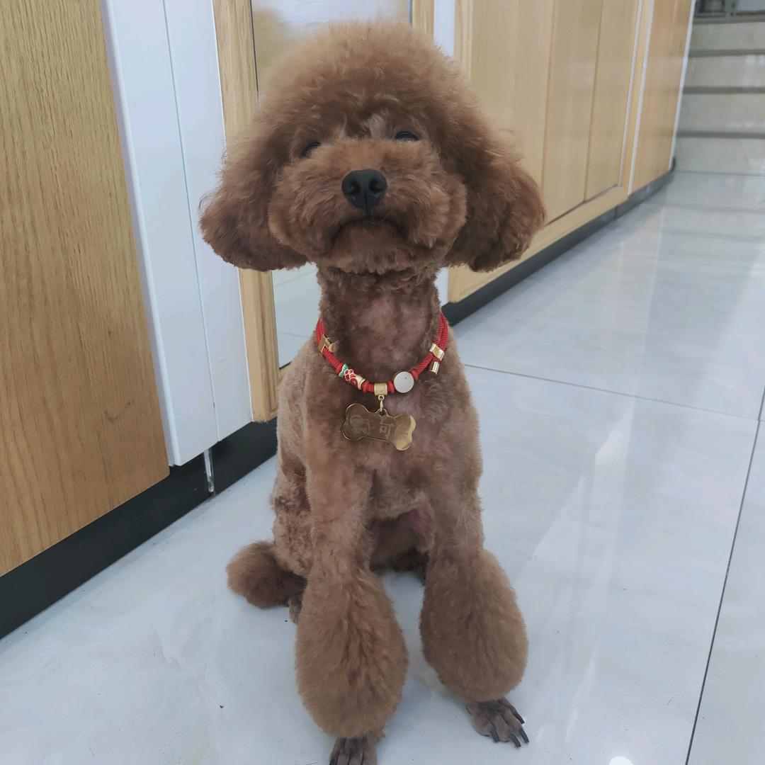 爱笑的眼睛