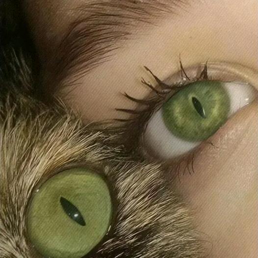 Sen.