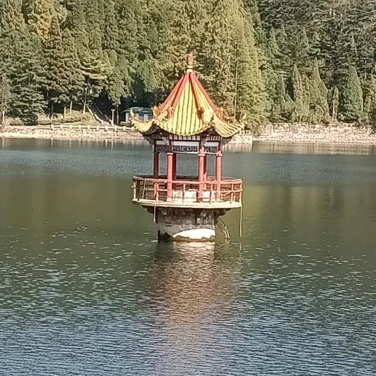 让心💔归零