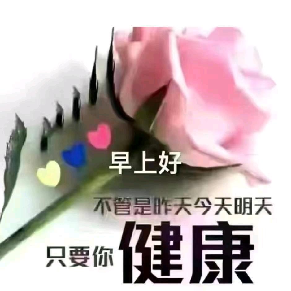 幸运草🍀🍀🍀