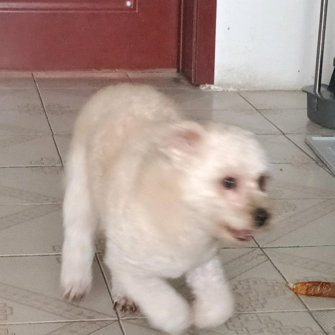 可乐.