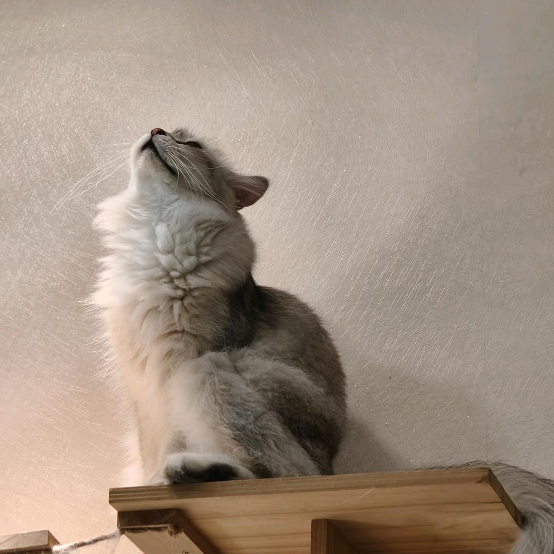 梦๑