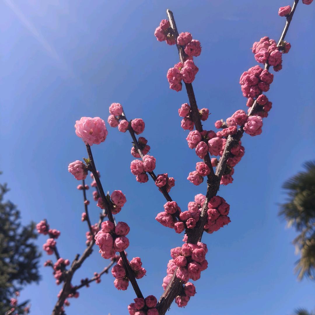 缘元影视