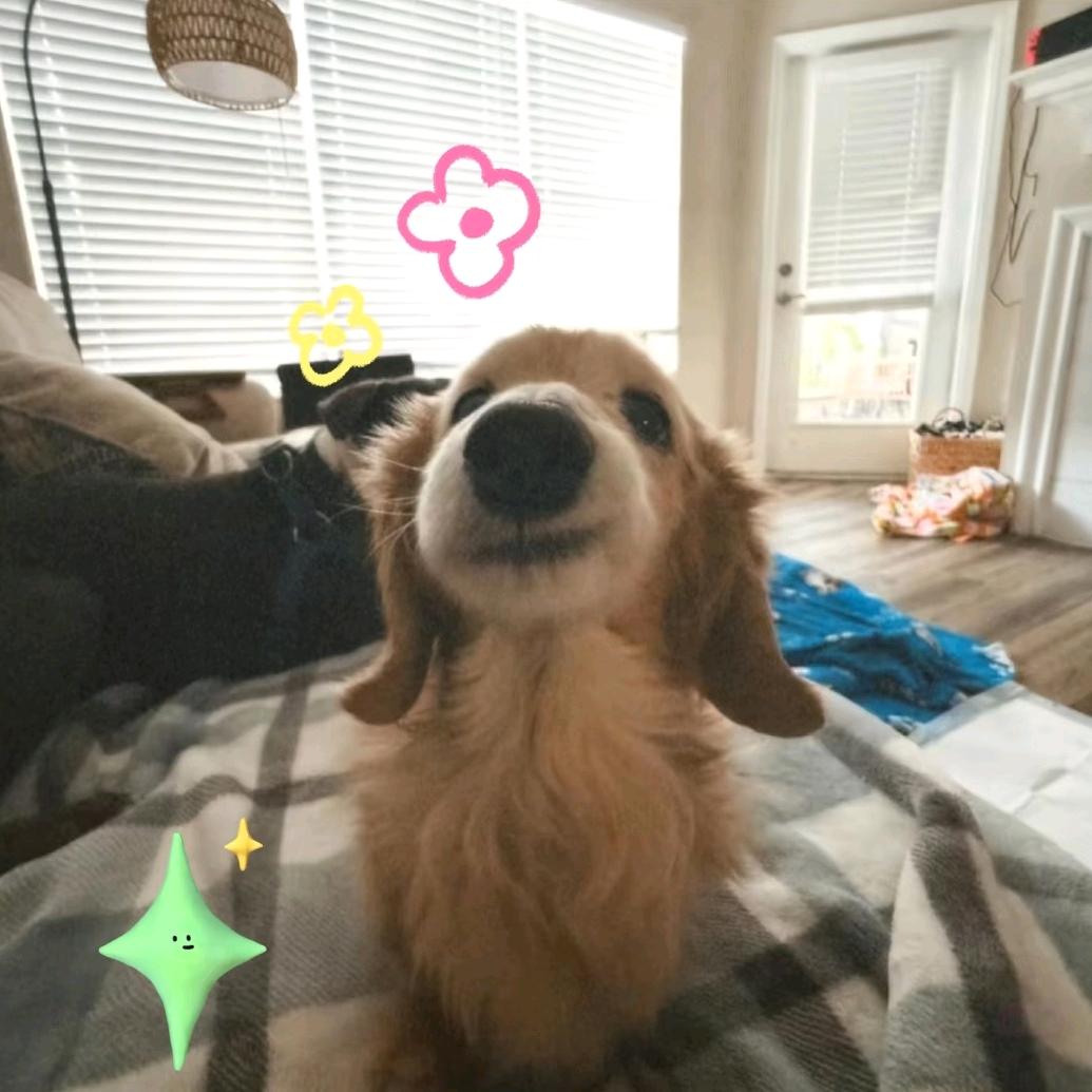 银行卡的秘密恋人❤️‍🔥