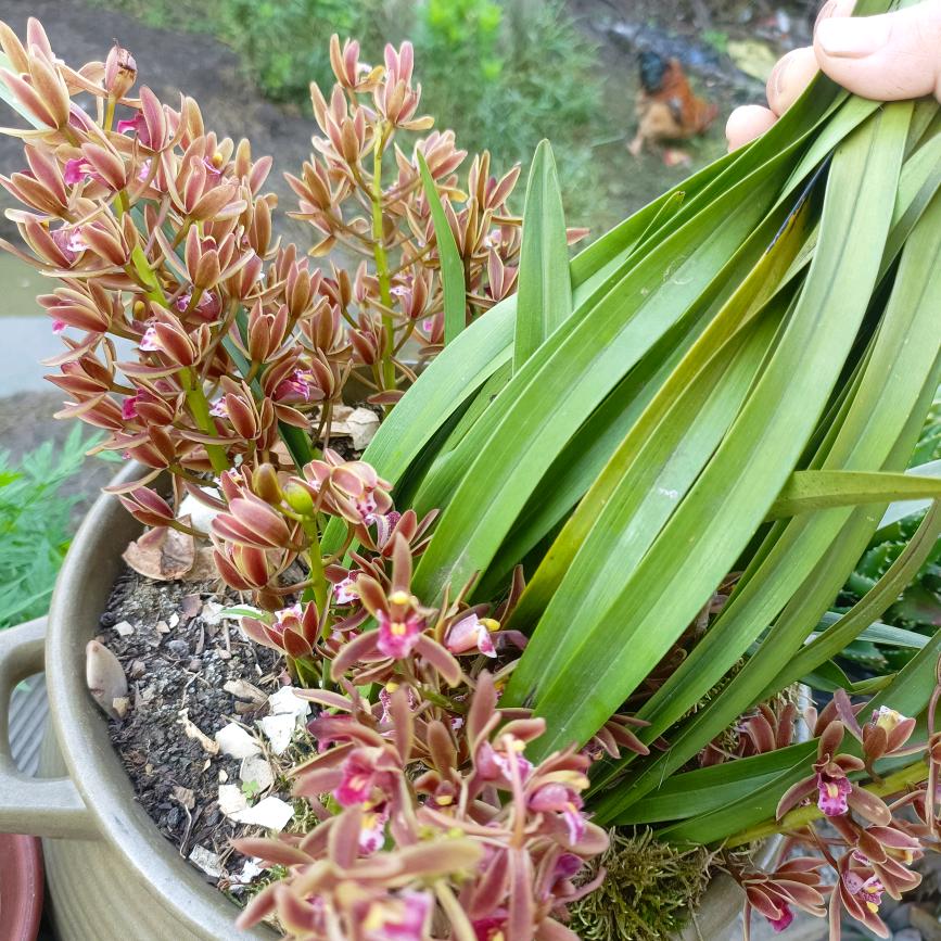 零起点