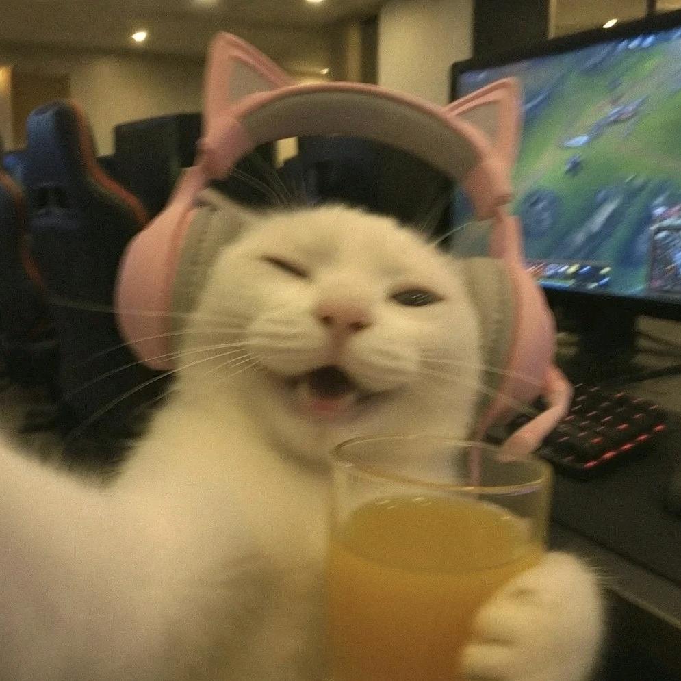狸头像