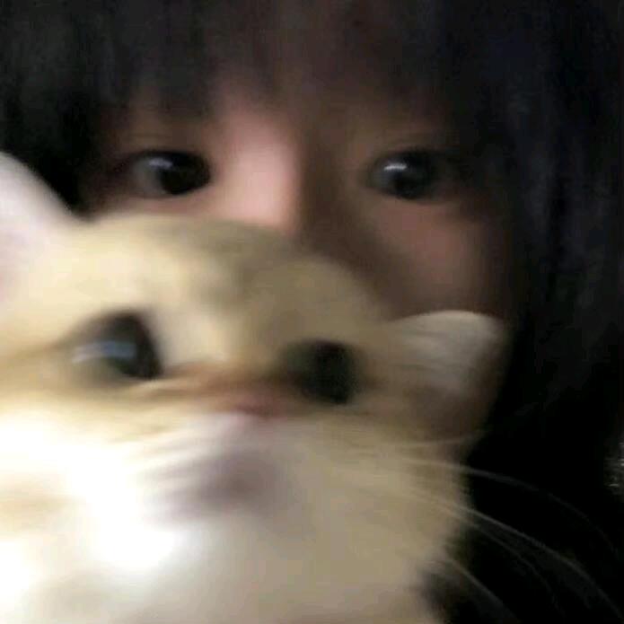⊹祁颖⊹头像