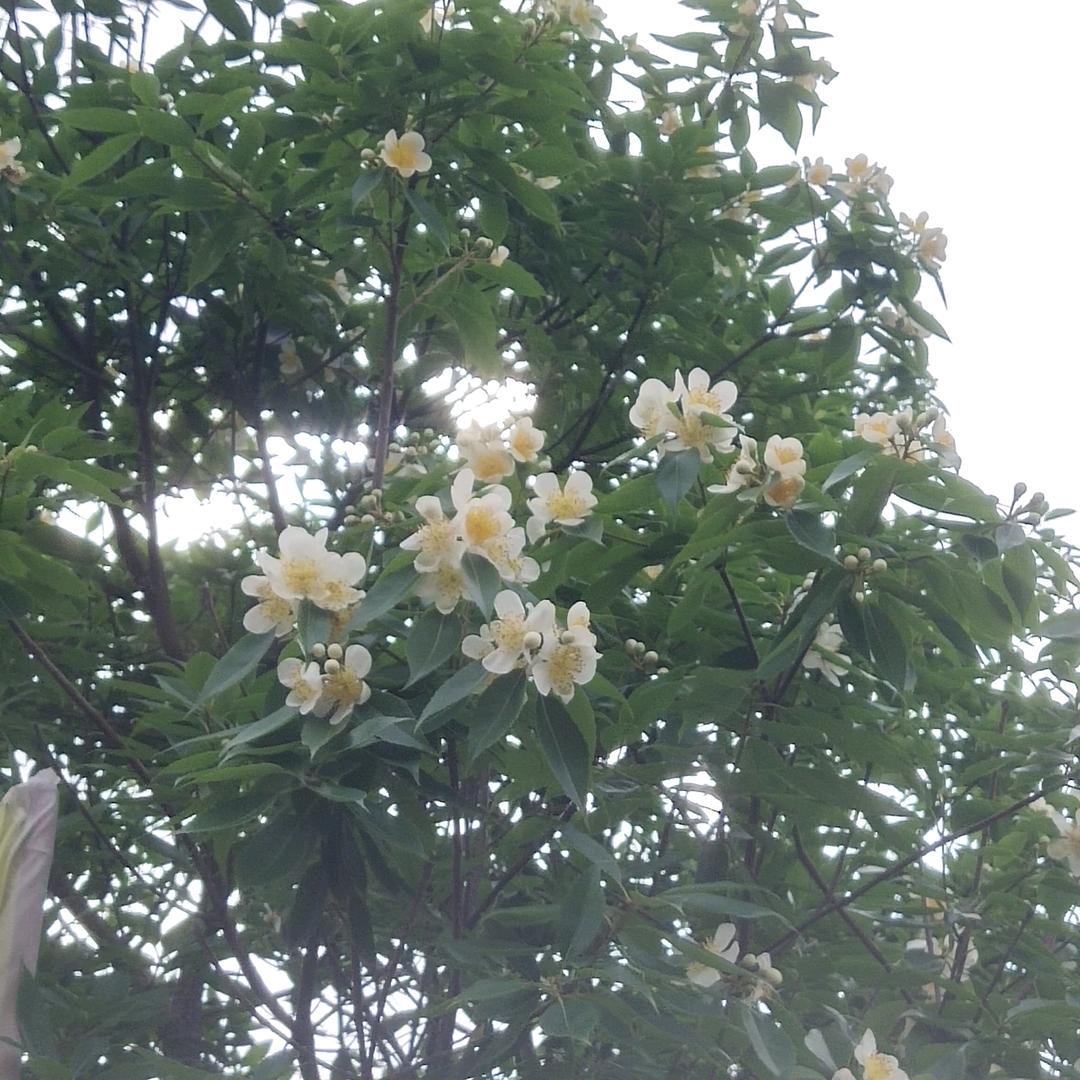 我会好好的