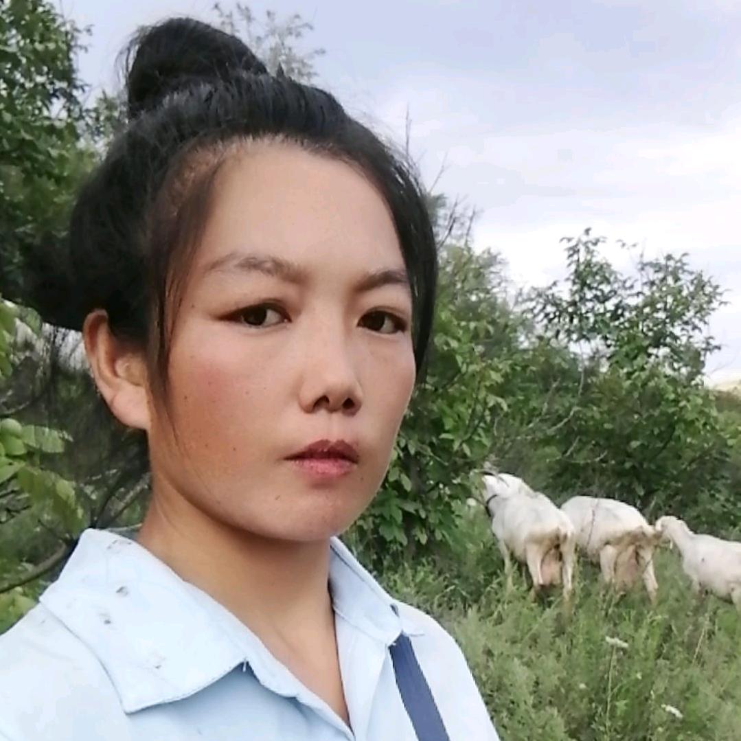放羊的小杨