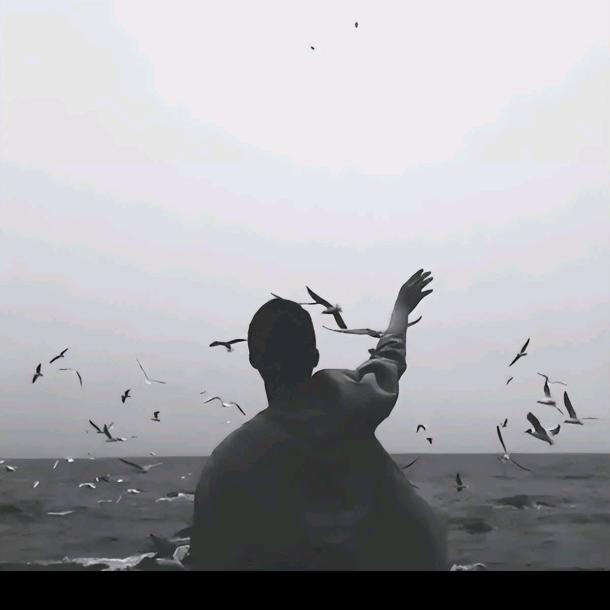 看望远方