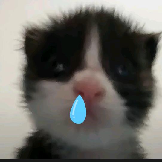 重庆下小雨