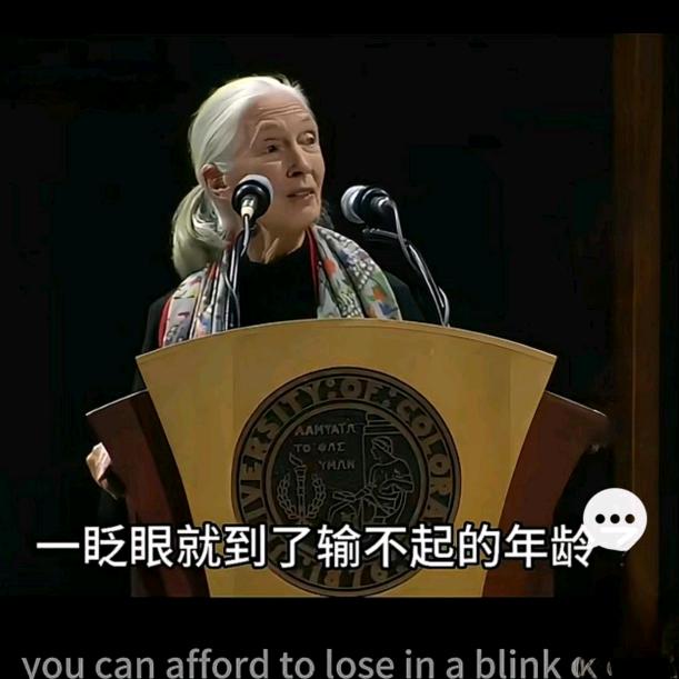 丰盛413头像