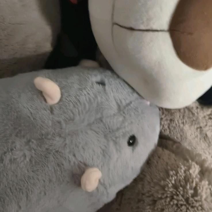 磁铁