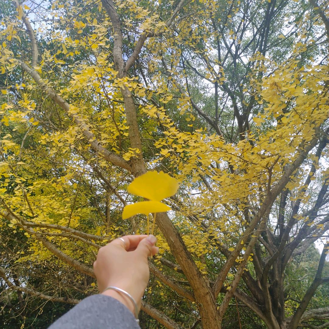 余音绕梁心已死