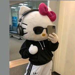 晚安小猫-.-