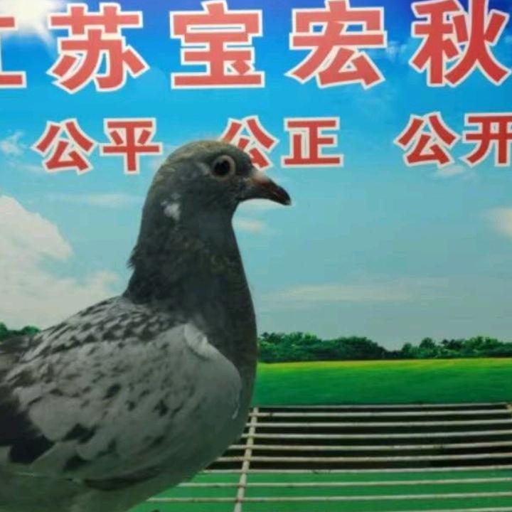人生如戏有苦有甜才知道不容易