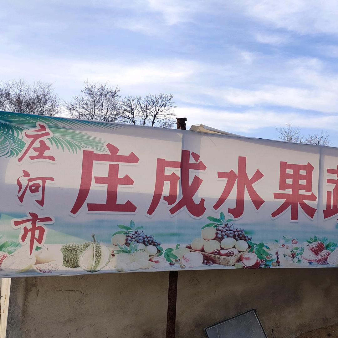庄成果业