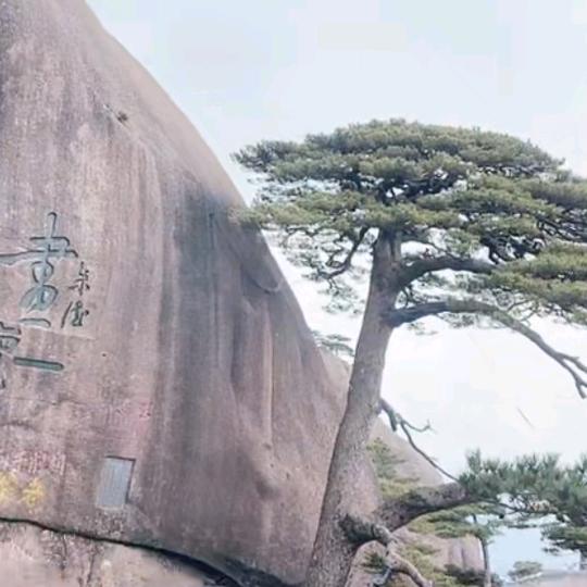 狼王