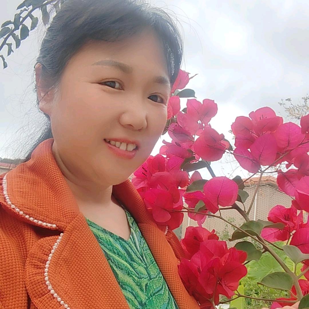 美丽樱花