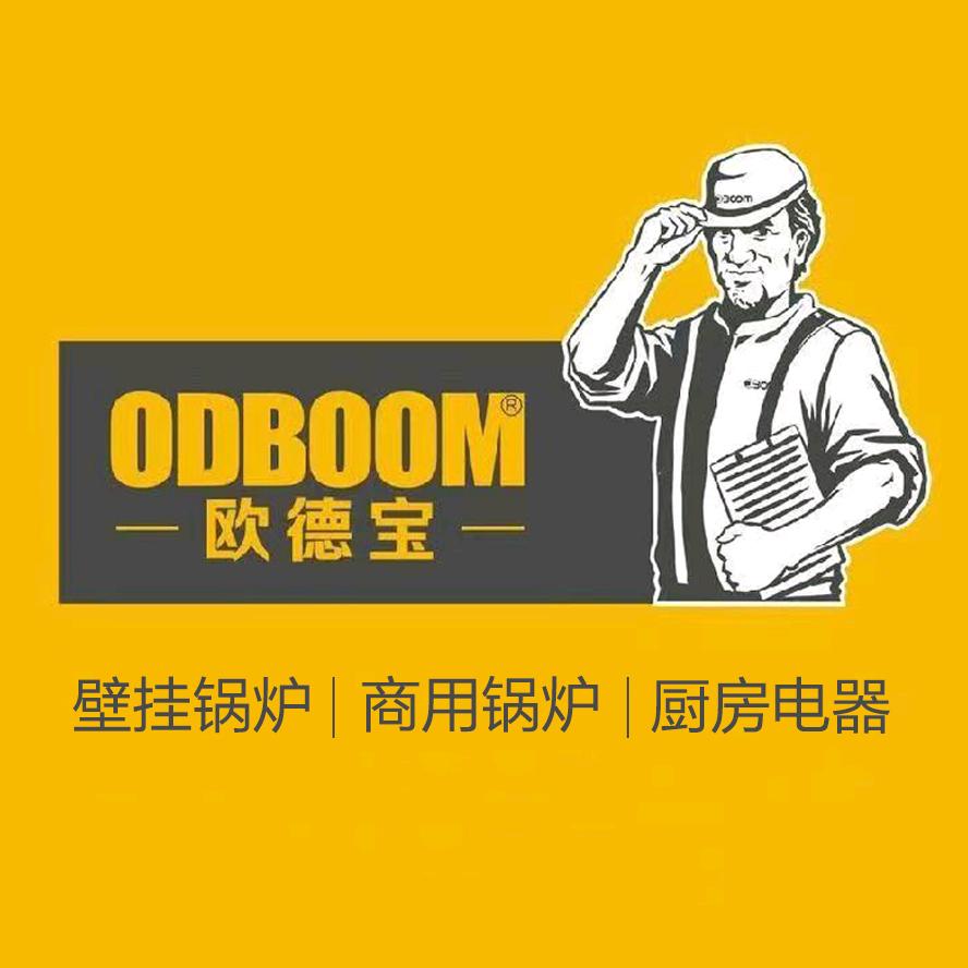 欧德宝壁挂炉厨电