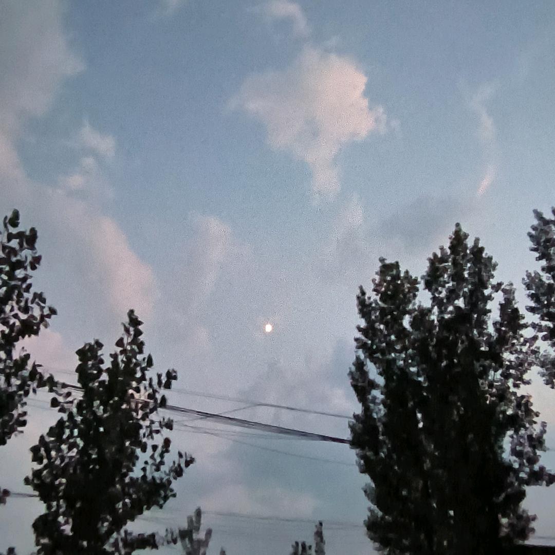 心想事成