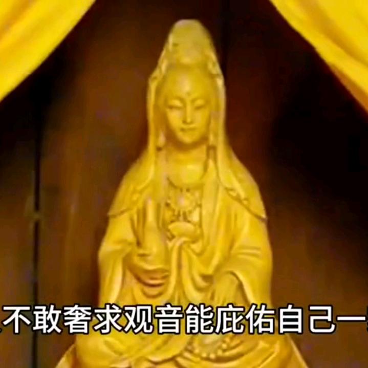 一生无虑