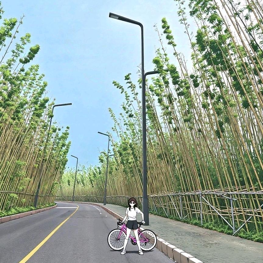 新手小妹踩公路