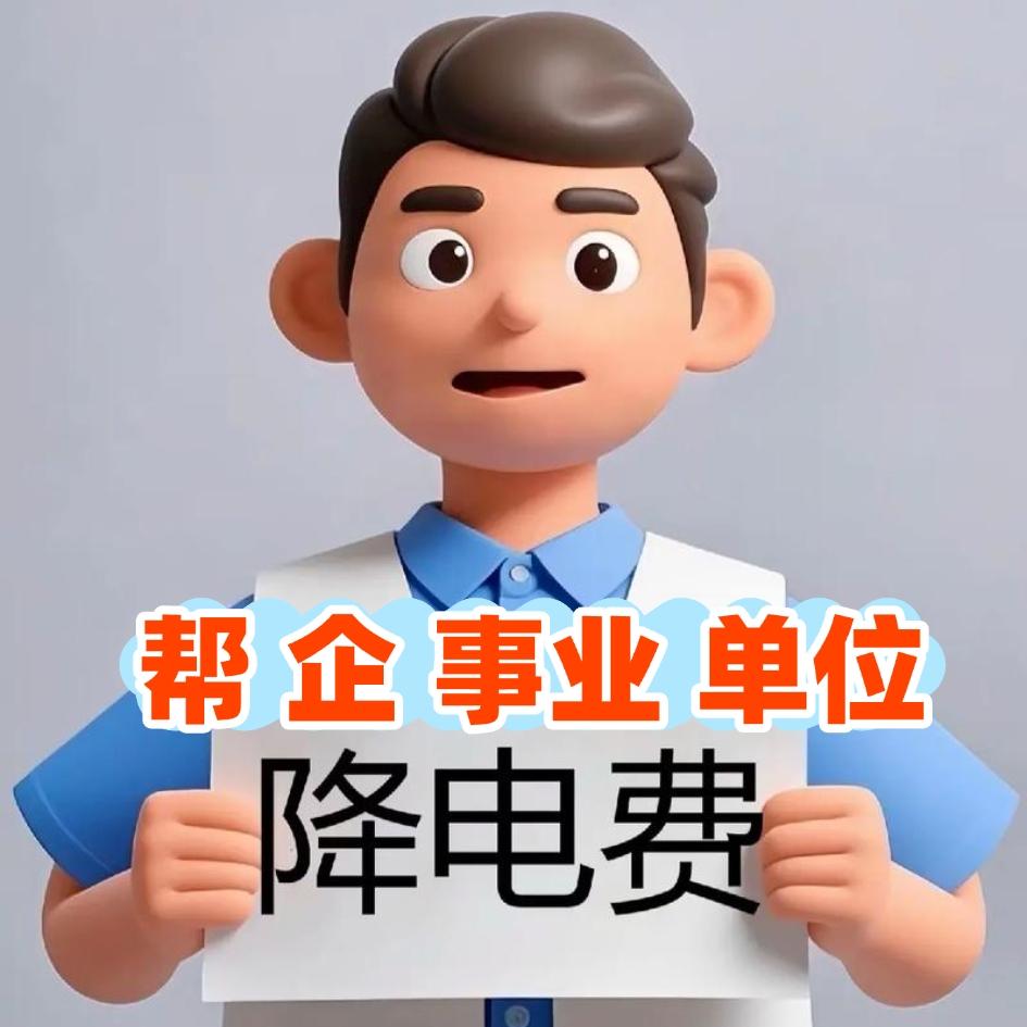 省电局 张指导