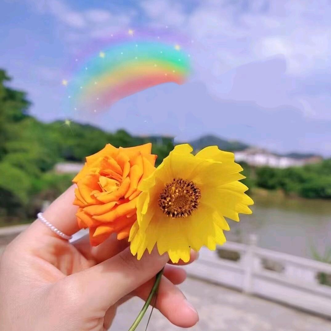 木木？
