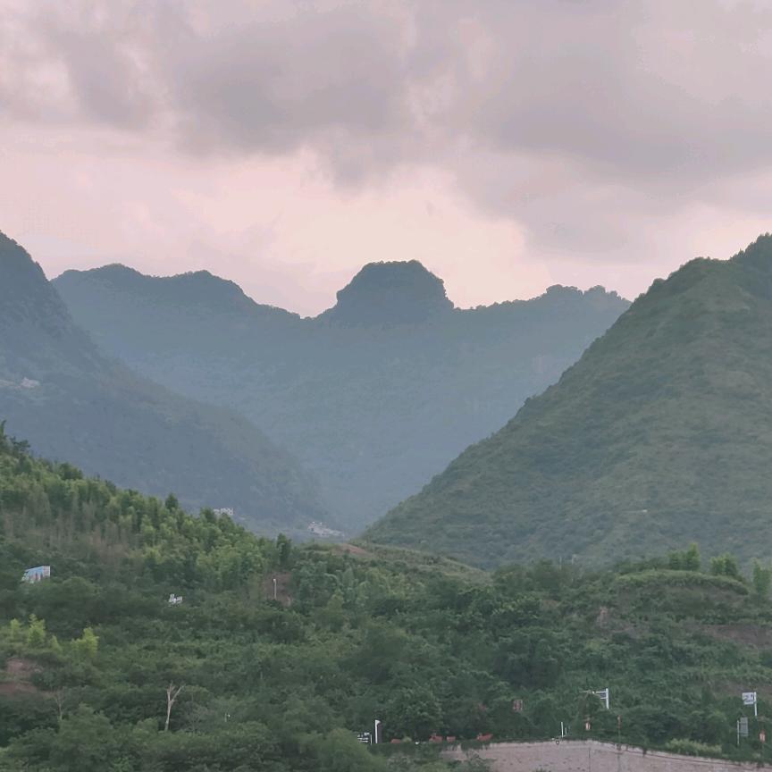 本王罩着李