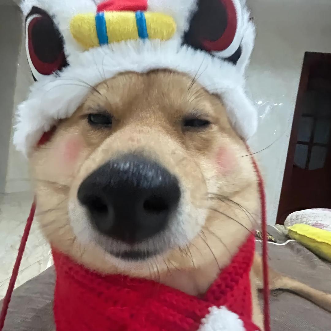 窃蓝