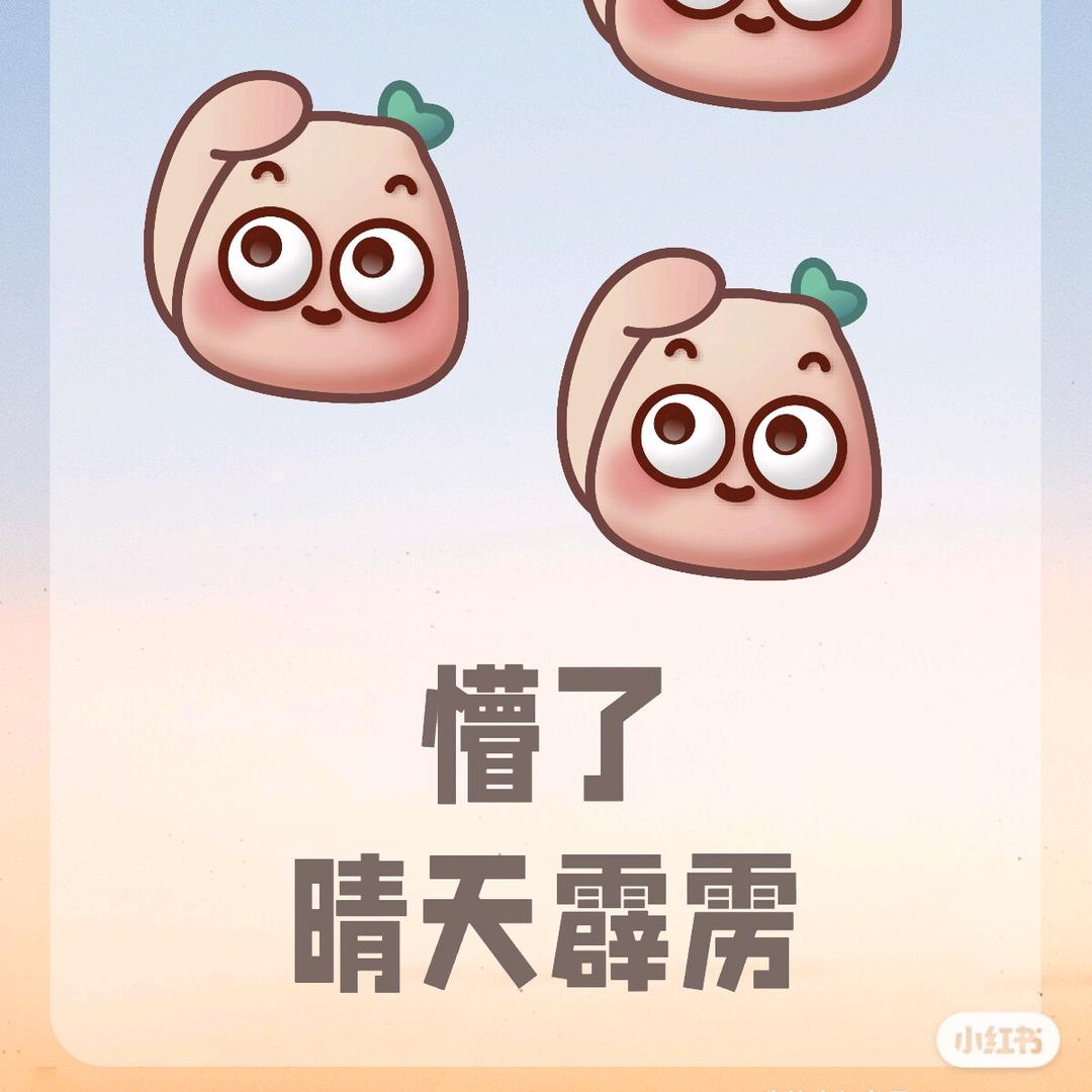老婆饼里没老婆
