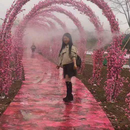 秦李侬侬