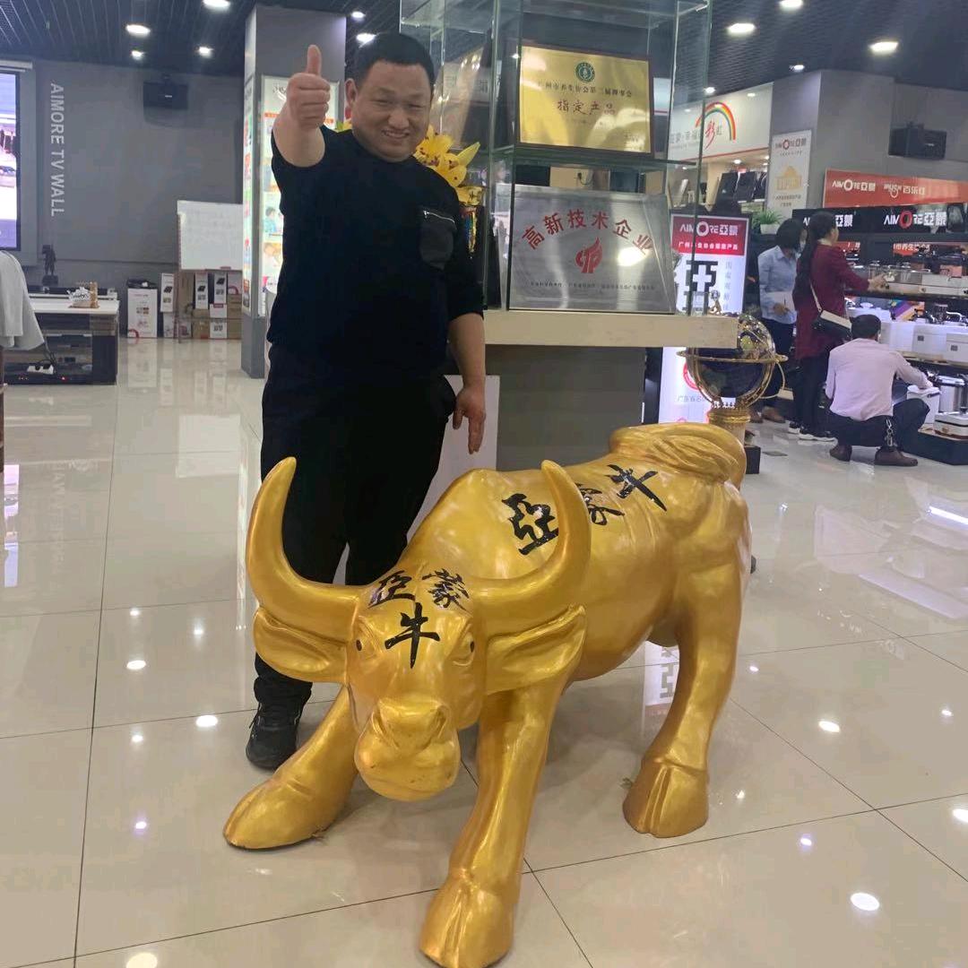 广平苏庄九阳，爱客多壁挂炉