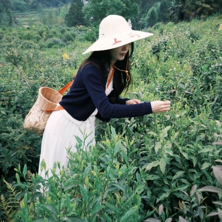 飘香茶舍
